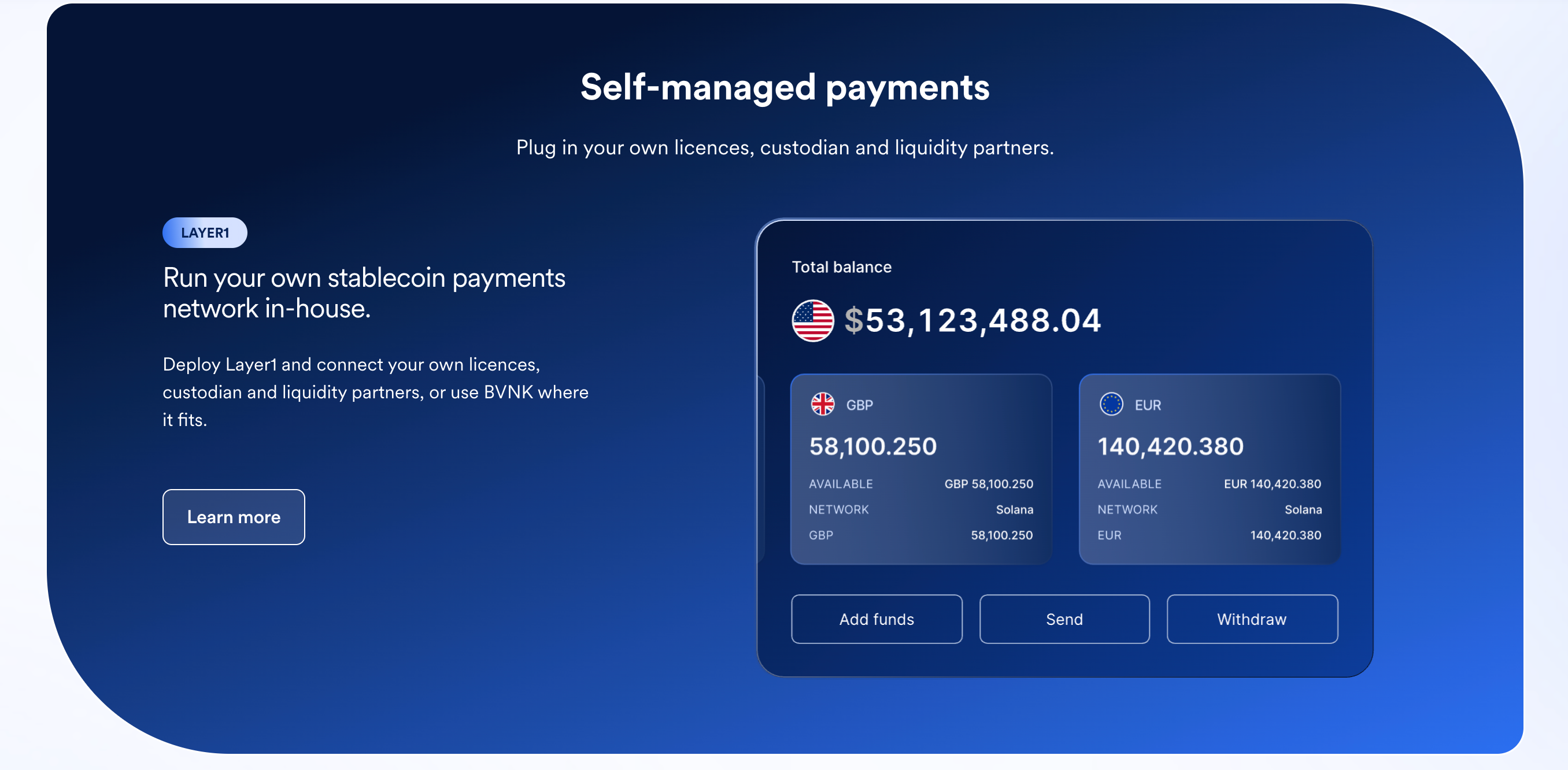 This image shows self-managed payments by BVNK.