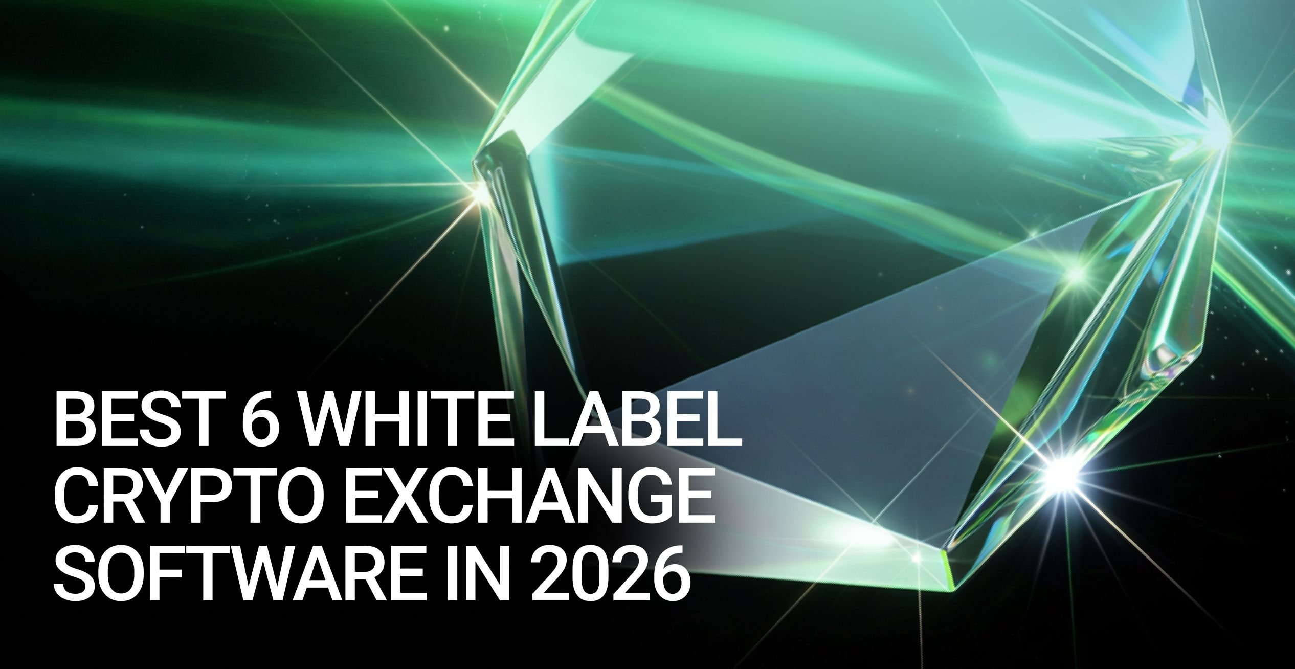 Best 6 White Label Crypto Exchange Software in 2027 (1).jpg