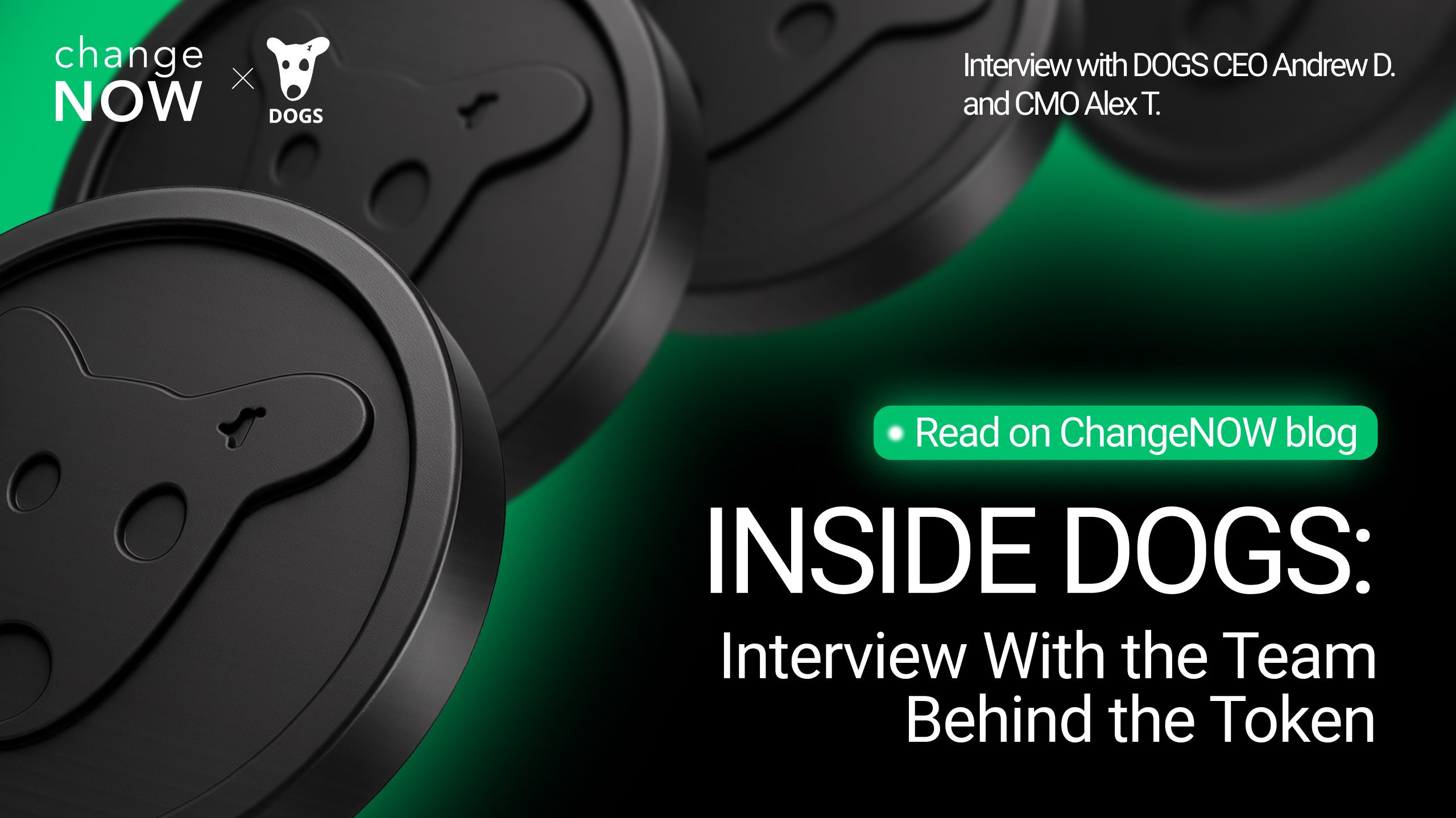 Interview with DOGS team  