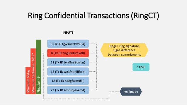 This image shows how Ring Confidential Transactions operate.