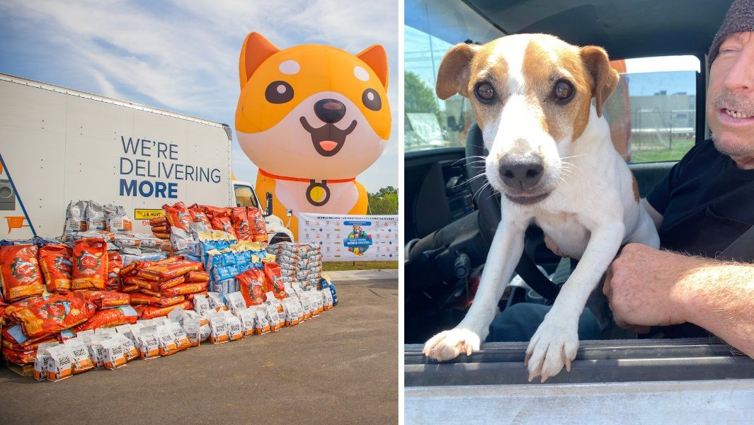 This picture shows BabyDoge's Guinness World Record for the largest pet food donation in a single day