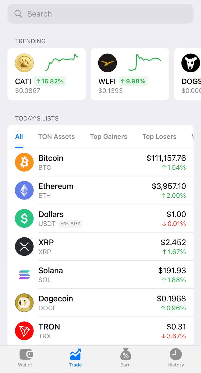 this picture shows Telegram Wallet coins
