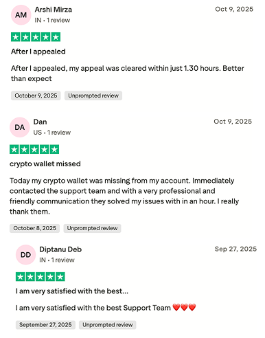 this picture shows positive reviews about Telegram Wallet on Trustpilot
