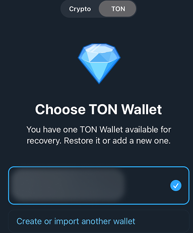 this picture shows Telegram Ton Wallet interface
