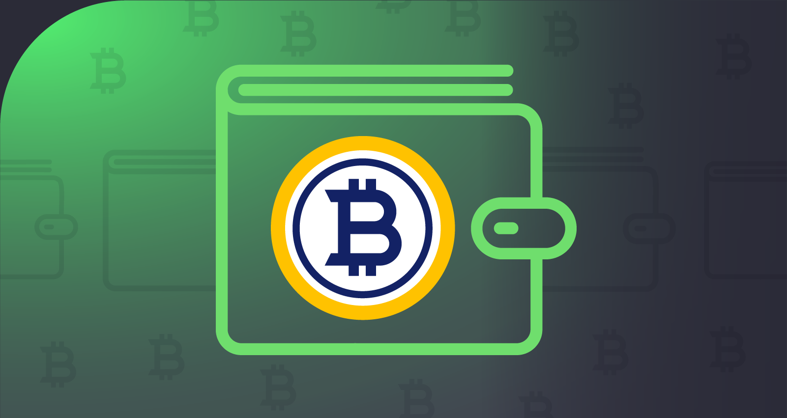 bitcoin gold wallet online