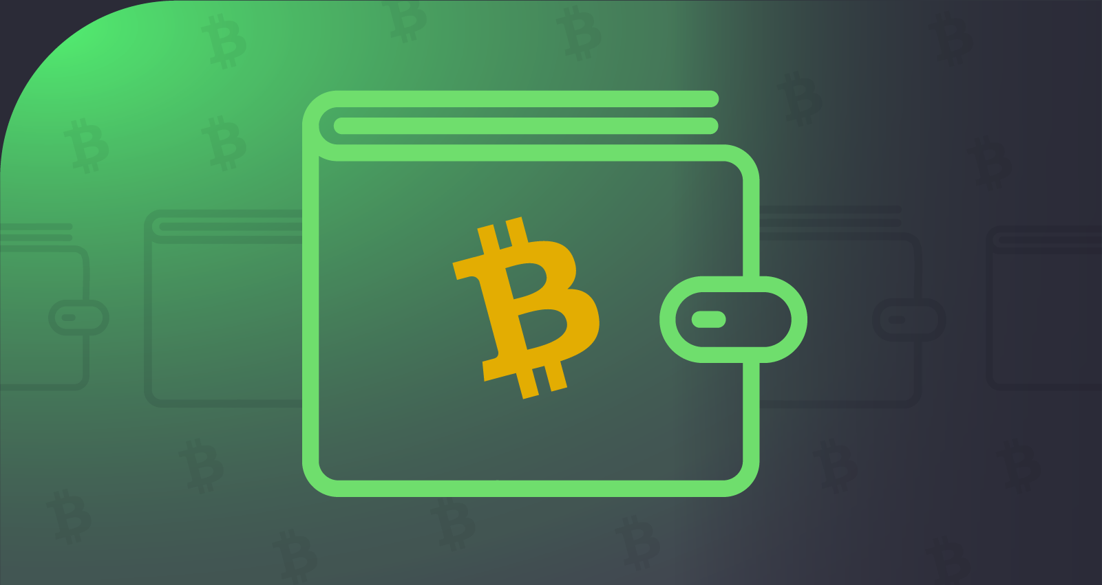 Best Bitcoin Wallet | Top Bitcoin Wallets Review