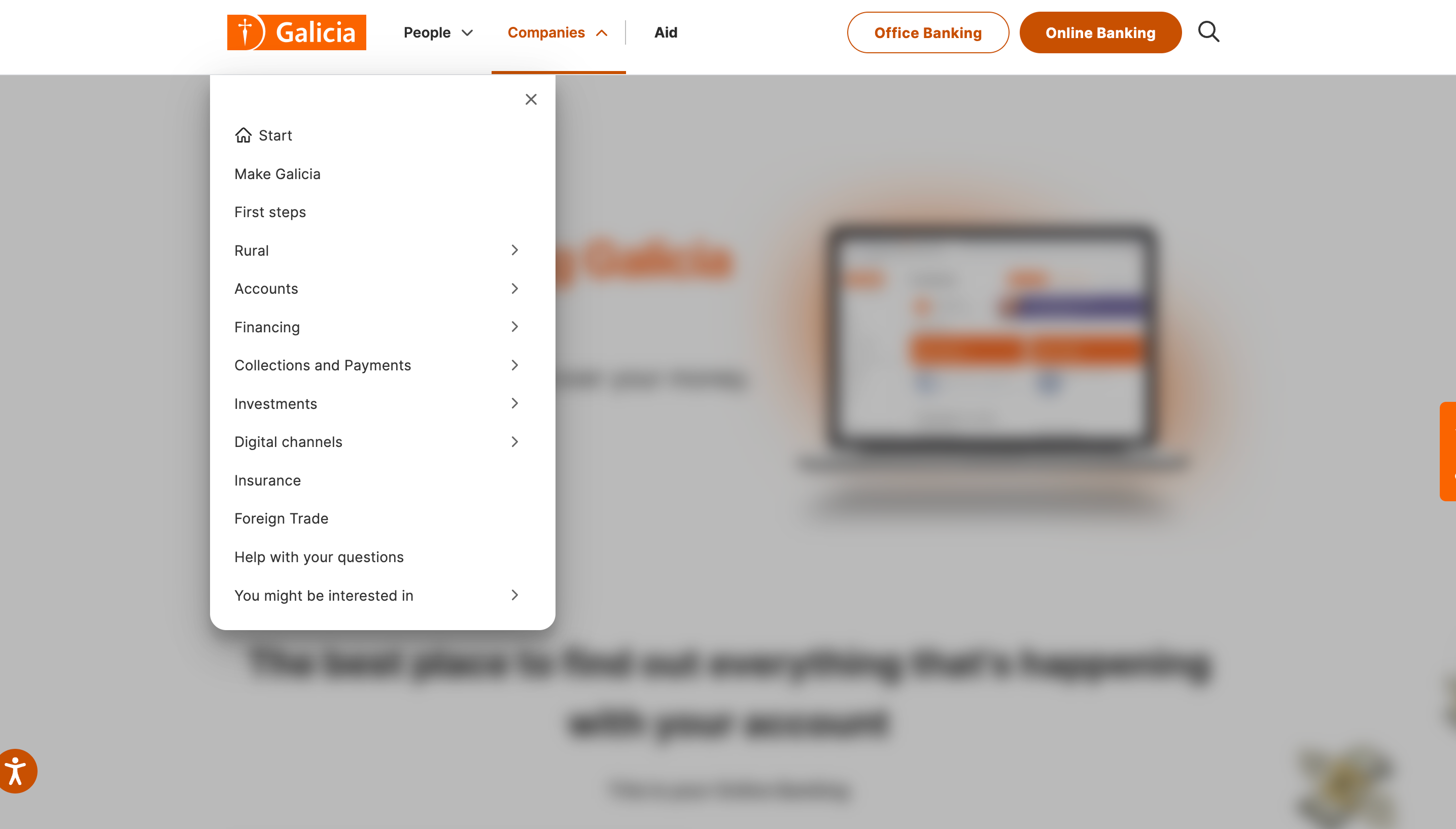 This image shows the Galicia bank options for the companies.