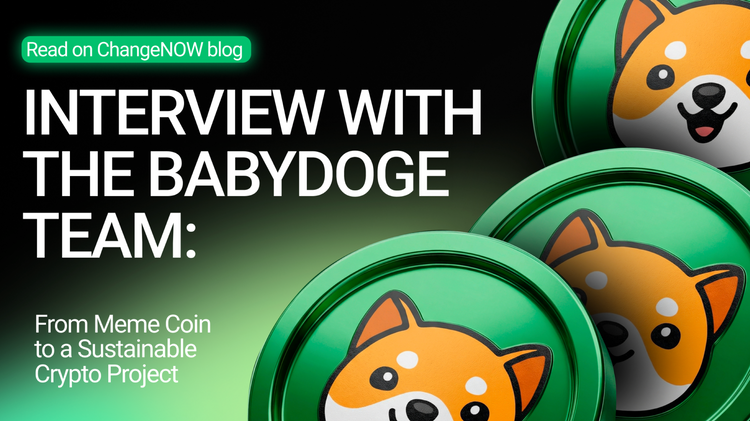 Discover BabyDoge News, Roadmap & Evolution: From Meme Coin to ...