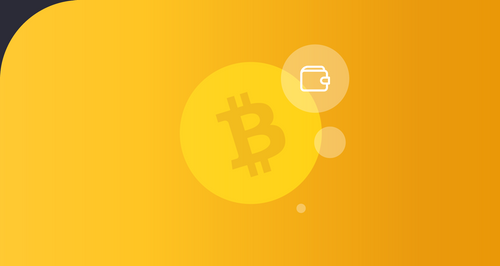 bitcoin wallets