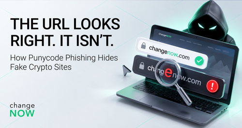 What Is Punycode? Punycode Phishing & How It Works