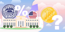 Mike Ermolaev on US Federal Reserve Rates’ Influence on Bitcoin