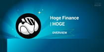 07.07 Hoge Finance (HOGE) Overview-01.png