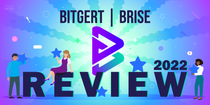Bitgert (BRISE) Review 2022