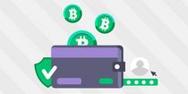 Crypto Wallets and Asset Security