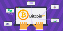 Bitcoin SV (BSV) Review 2020 Price Prediction Wallet Reddit