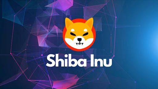 shiba inu project